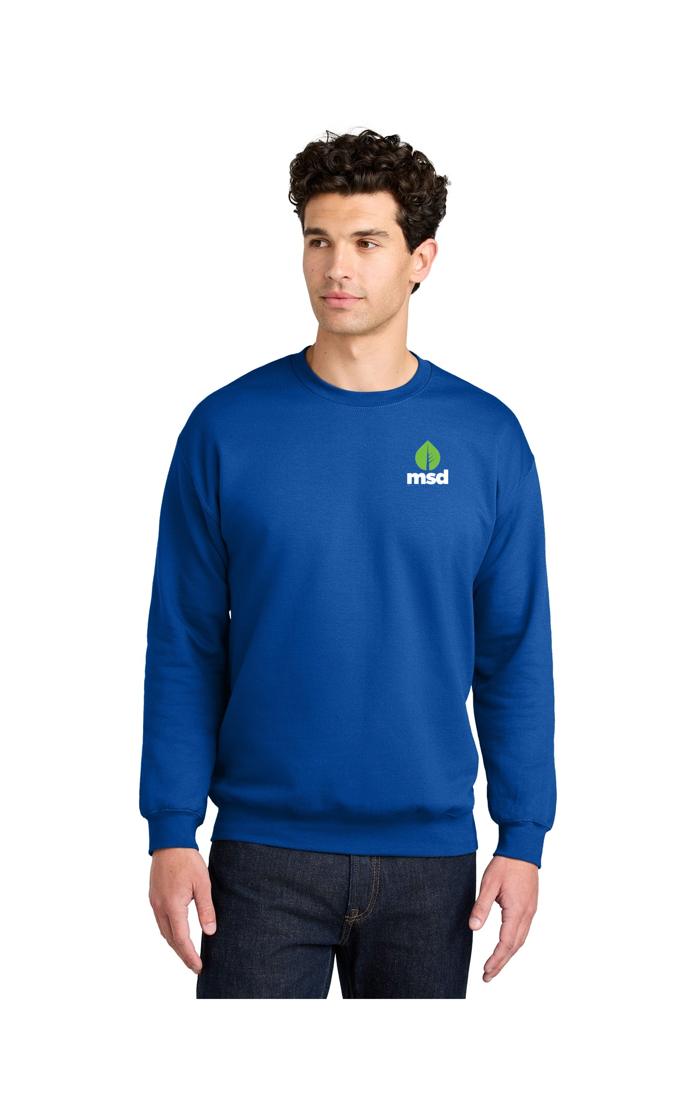 Gildan Softstyle Crewneck Sweatshirt